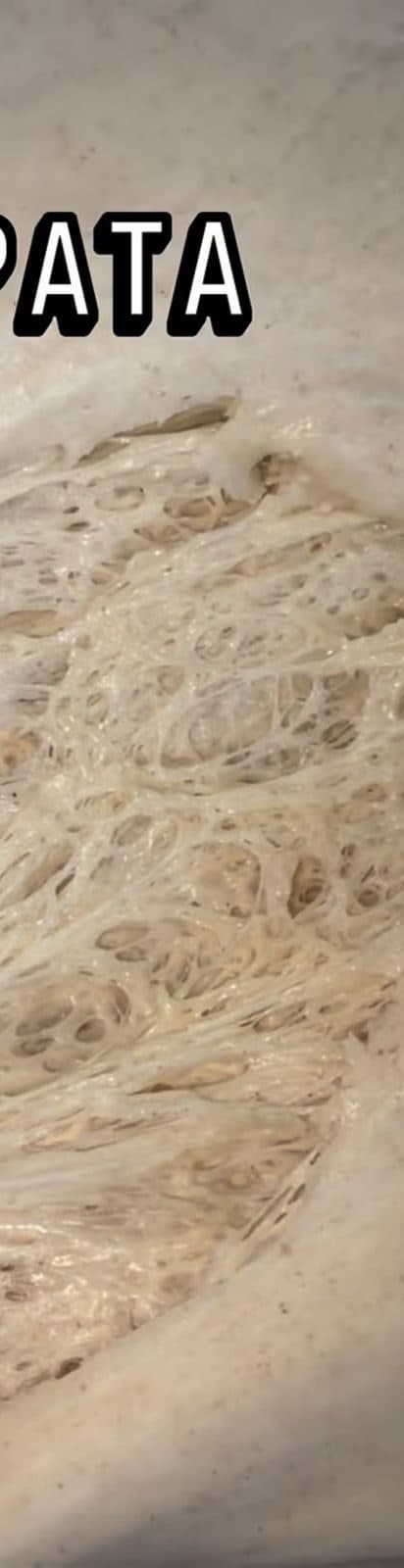 Masa madre sólida (pata)